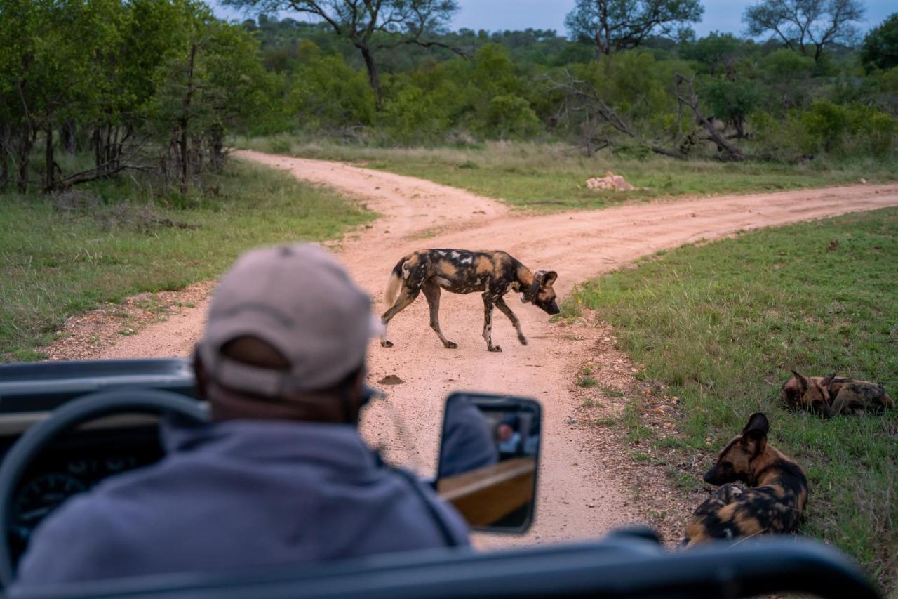 Thornybush Game Lodge Rezervace Thornybush Exteriér fotografie